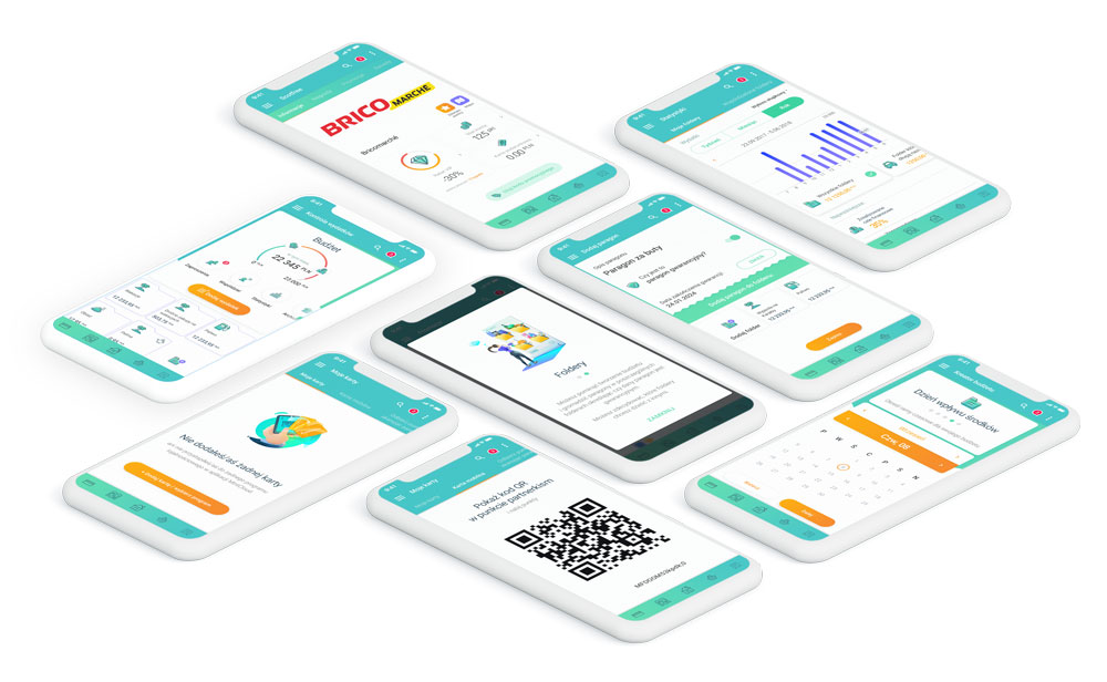 Loyalty program for French DIY stores located in Poland