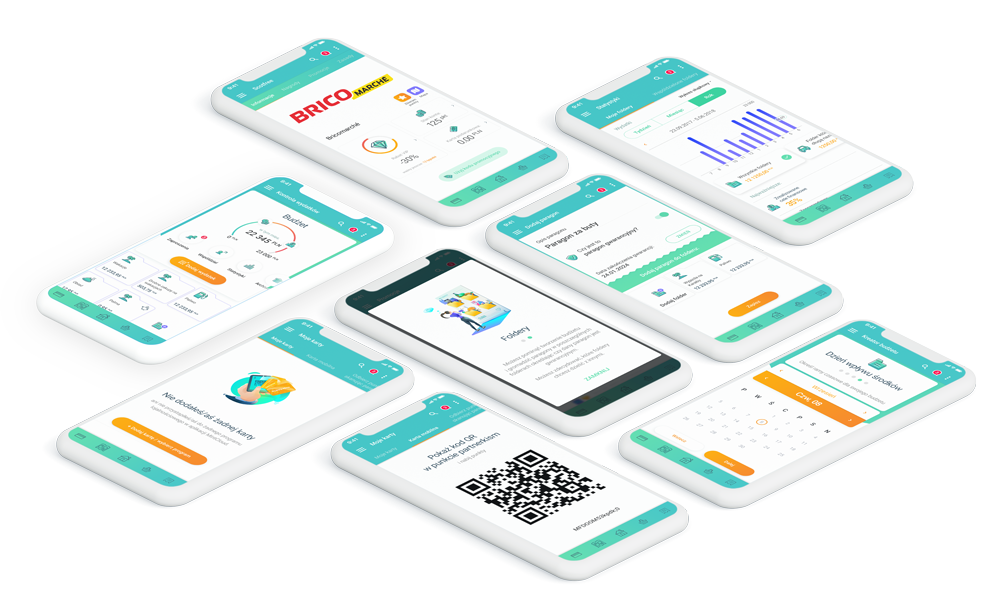 Loyalty program for French DIY stores located in Poland