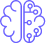 Automated marketing campaigns